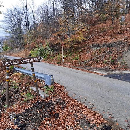 Willa Vikendica Rankovici Mokra Gora Zewnętrze zdjęcie