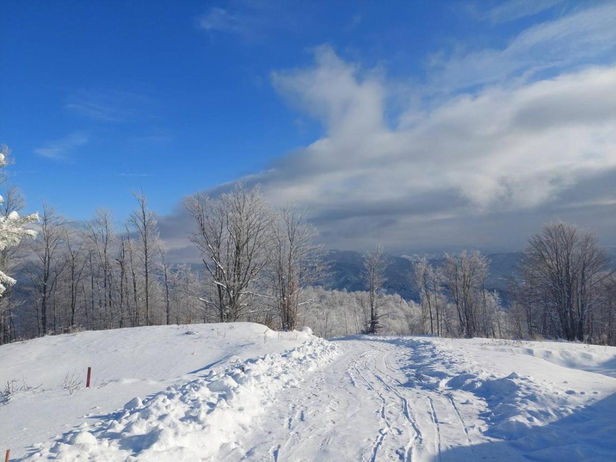 Willa Vikendica Rankovici Mokra Gora Zewnętrze zdjęcie