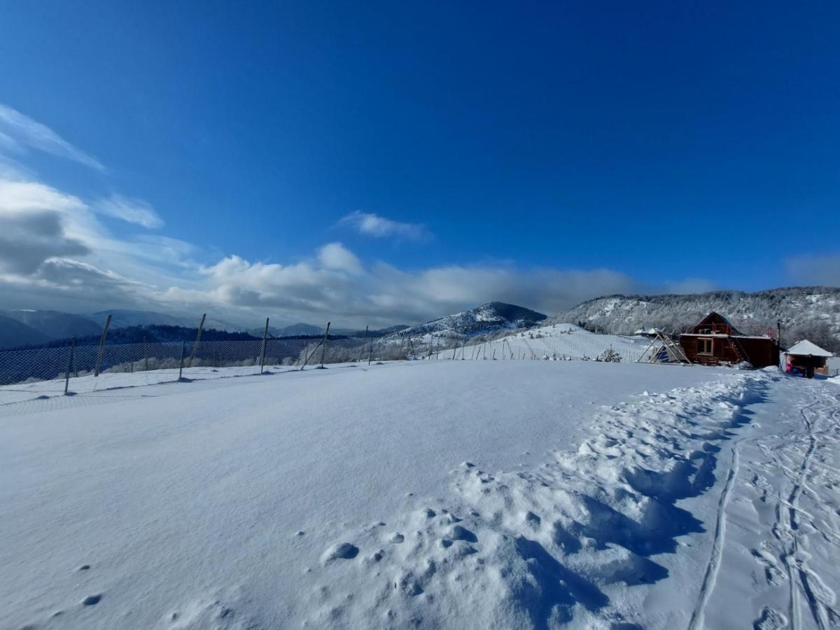 Willa Vikendica Rankovici Mokra Gora Zewnętrze zdjęcie