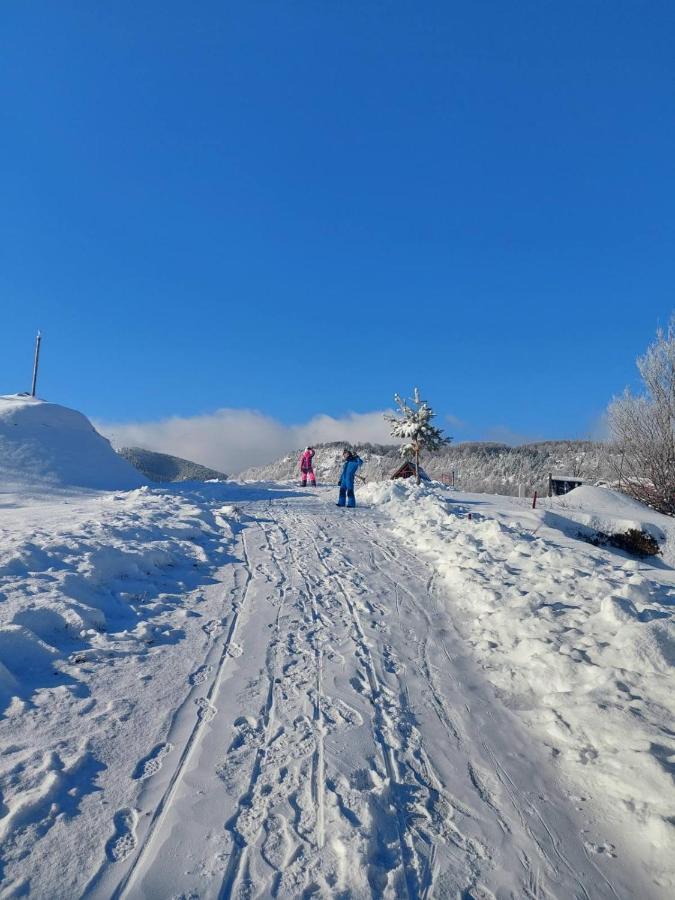Willa Vikendica Rankovici Mokra Gora Zewnętrze zdjęcie