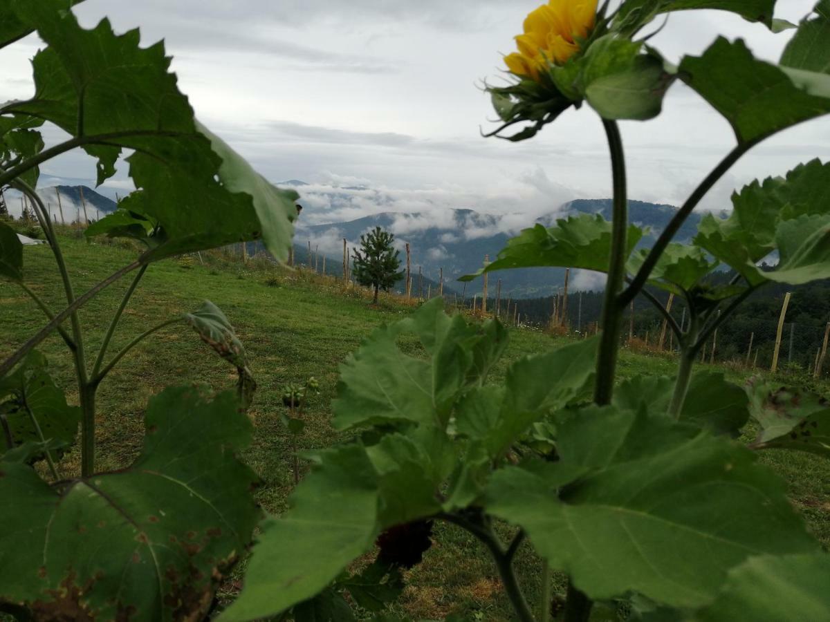Willa Vikendica Rankovici Mokra Gora Zewnętrze zdjęcie