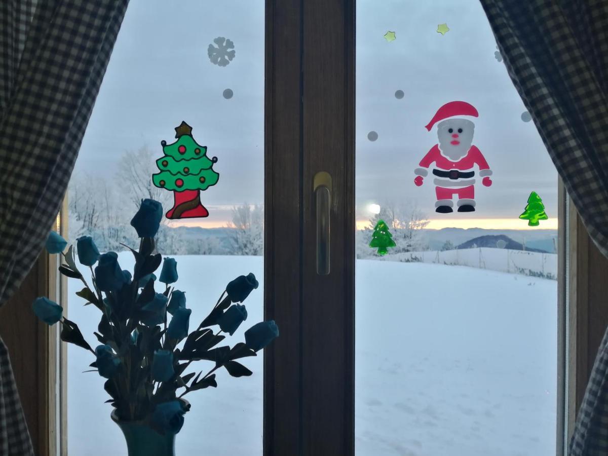 Willa Vikendica Rankovici Mokra Gora Zewnętrze zdjęcie