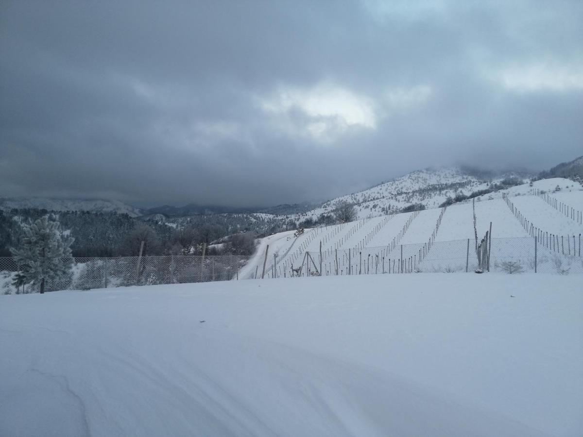 Willa Vikendica Rankovici Mokra Gora Zewnętrze zdjęcie